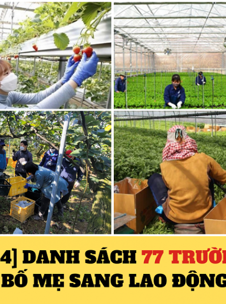 DANH SÁCH 77 TRƯỜNG ĐƯỢC MỜI BỐ MẸ SANG LAO ĐỘNG THỜI VỤ – MỚI NHẤT 2024